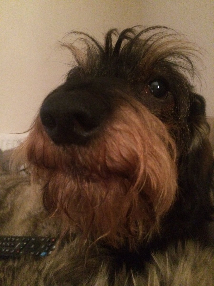 Archie_and_Me tweet picture