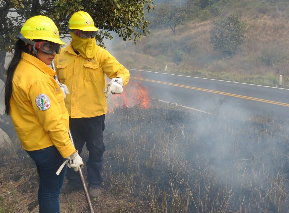 CONAFOR's tweet photo. En #Nayarit @CONAFOR cuenta con 40 brigadistas, entre los cuales se encuentran 2 mujeres para combatir incendios. https://t.co/oWbcZ7E7JZ