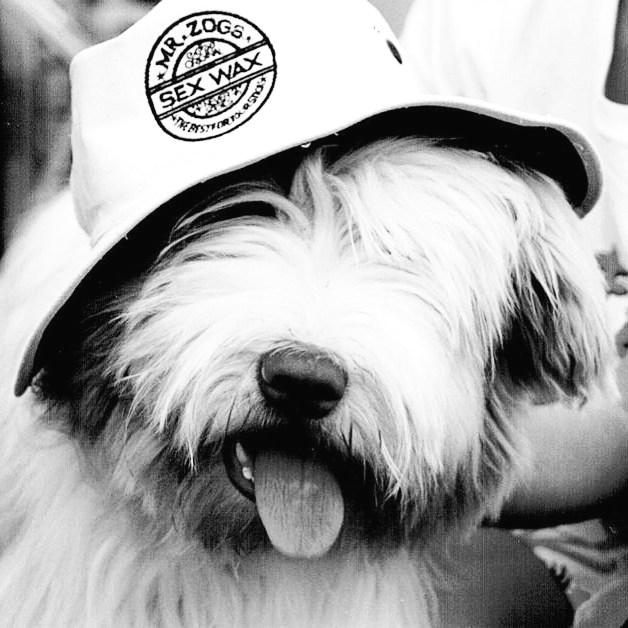 MrZogsSexWax's tweet photo. 😍😍😍  Photo Credit: IG: @ treasuriesofmine  #surfing #sexwax #ilovedogs #surfer #surfwax #bestforyourstick https://t.co/GTWeCRADaS