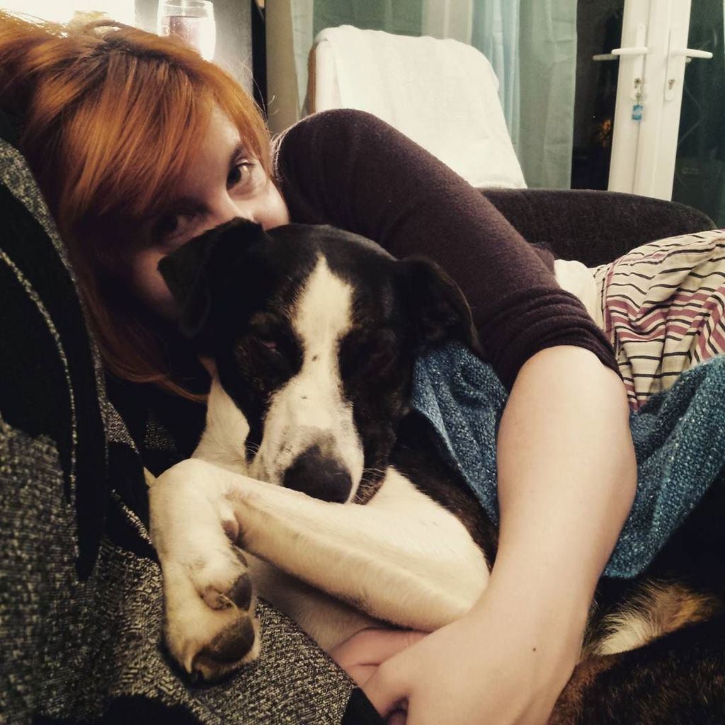 andycowley_'s tweet photo. <3 #MarloweTheMagnificent #dog #dogsofinstagram #cute #instapet #weeklyfluff #igpets #igdo… https://t.co/MtcJ0eKss7 https://t.co/6mc96MzuKt