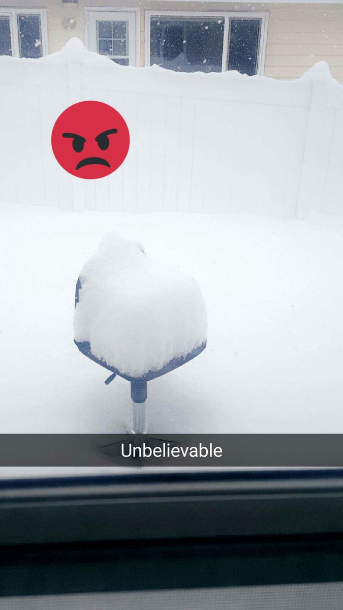 ladyaries_net's tweet image. The #GroundhogDay lied #springwhere