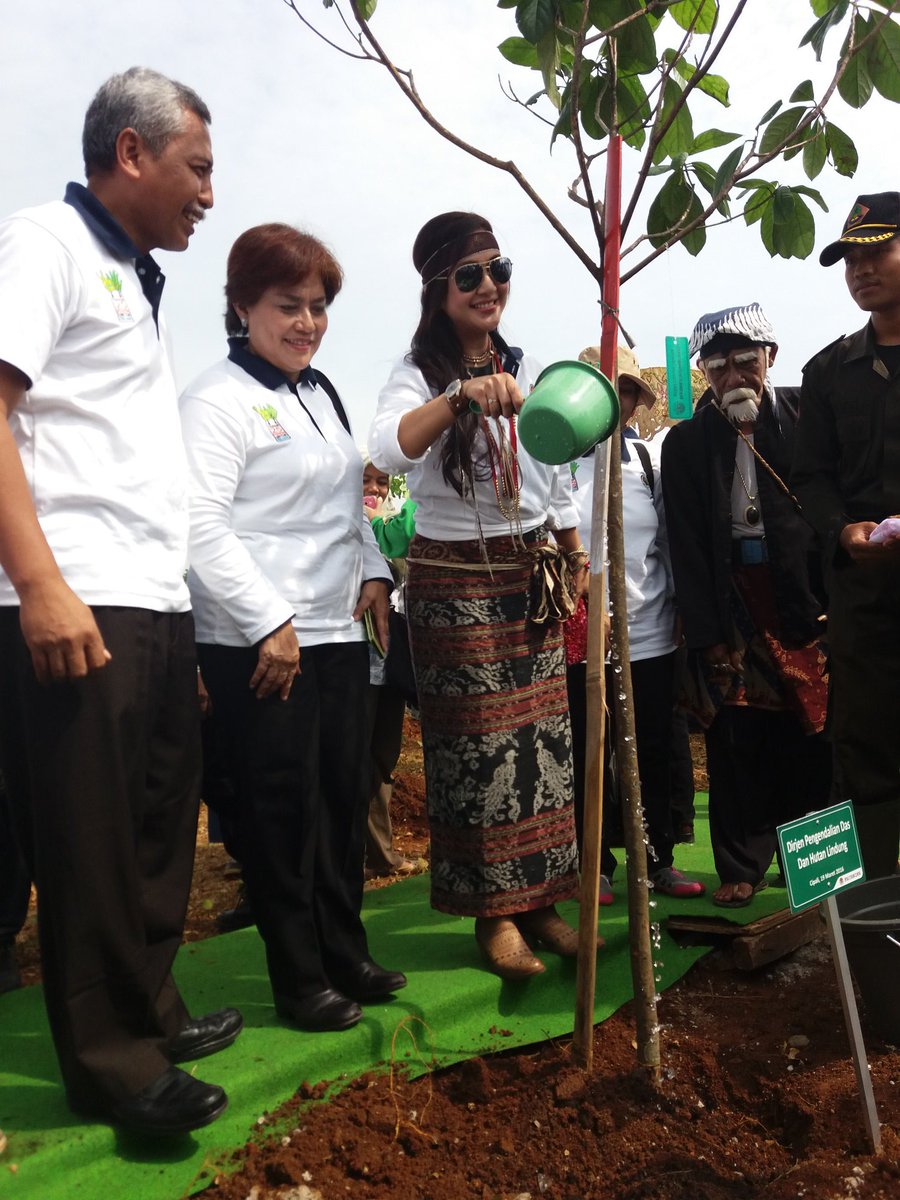 YanuarYusuf7's tweet photo. Tante @paramitha_pr_2 aja ikutan tanam pohon tuh gaes,kuy tanam stdknya 25 pohon selama hidup yes (?) #forestday2016 https://t.co/99SMwjKfaA