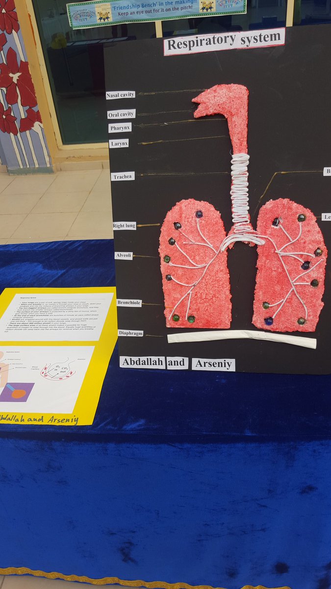 DirectorOfEducation tweet media