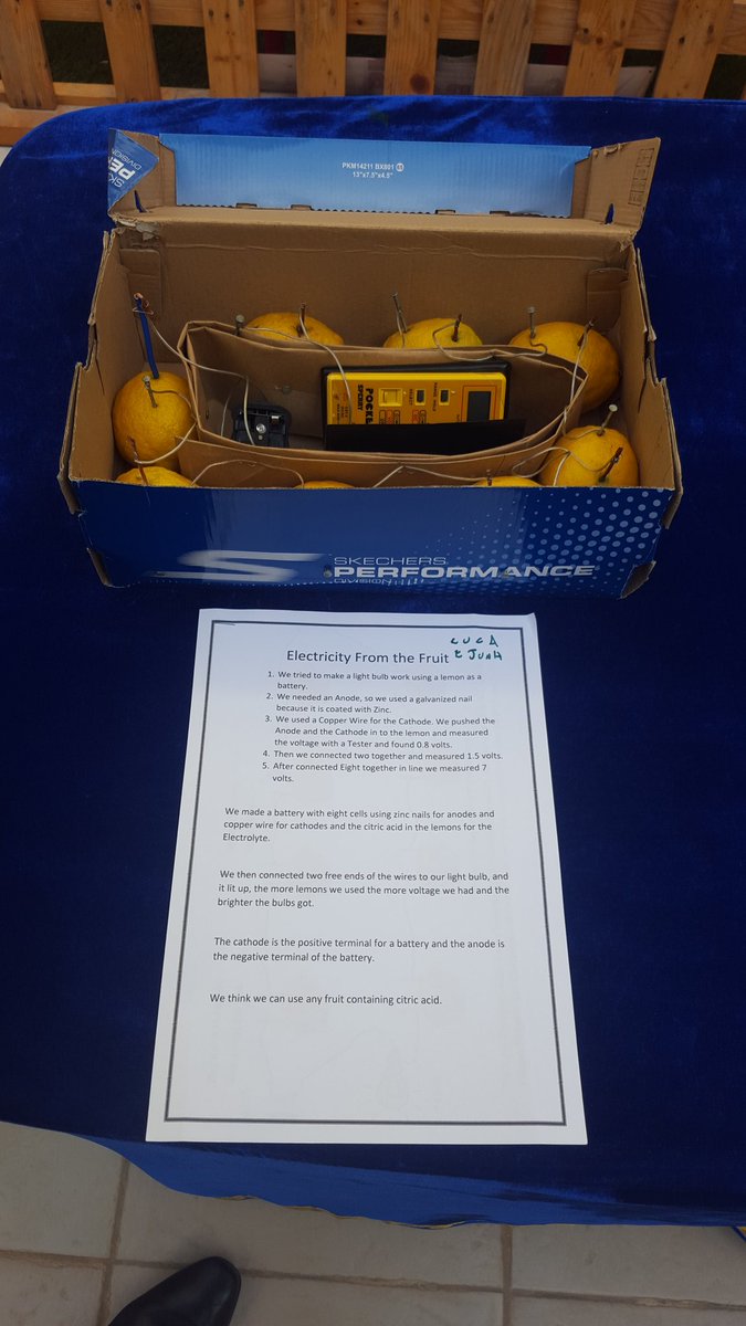 Year 7 Science on display. So many scientist at RIS. #risdubai #science