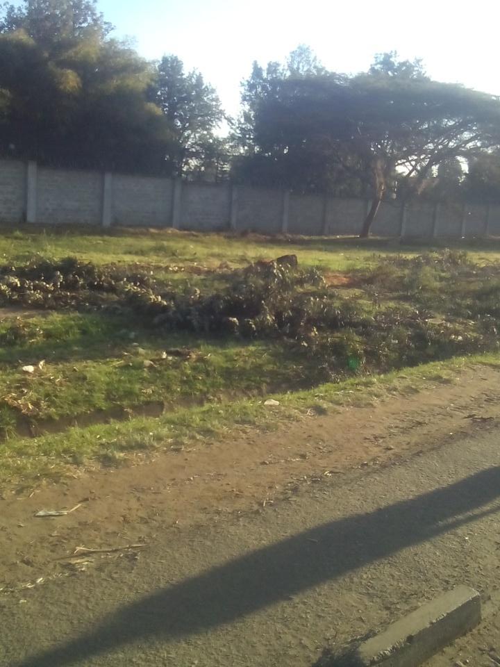 RapandoLawrence's tweet photo. Nairobi county to replace  the trees that have been cut along Ngong Road.@EvansKidero @NemaKenya @KIUESA @UNEP https://t.co/RQLRW0Dpf0