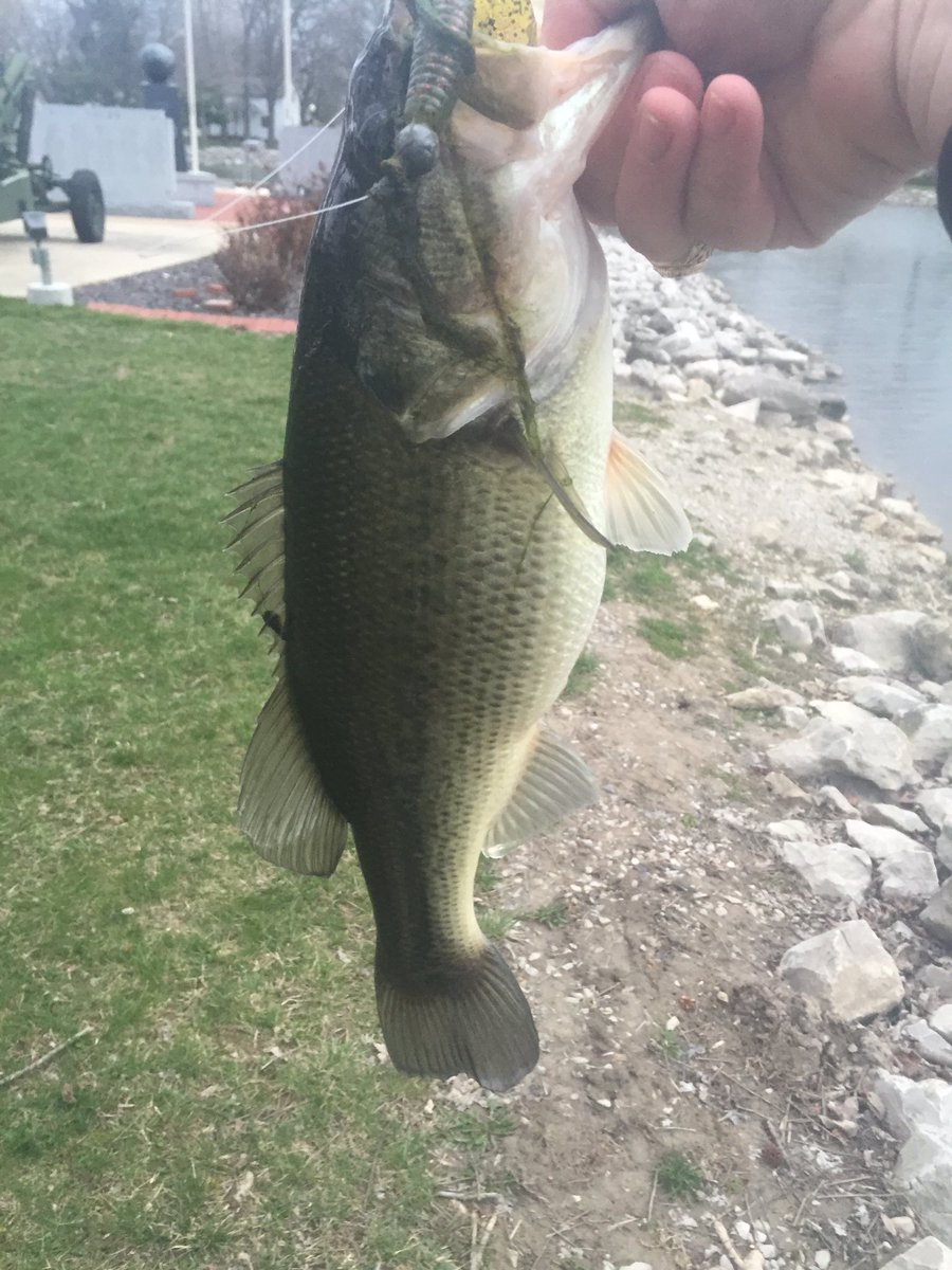 amstack18's tweet image. First fish for 2016! ATE the @StrikeKingLures Rage Grub!