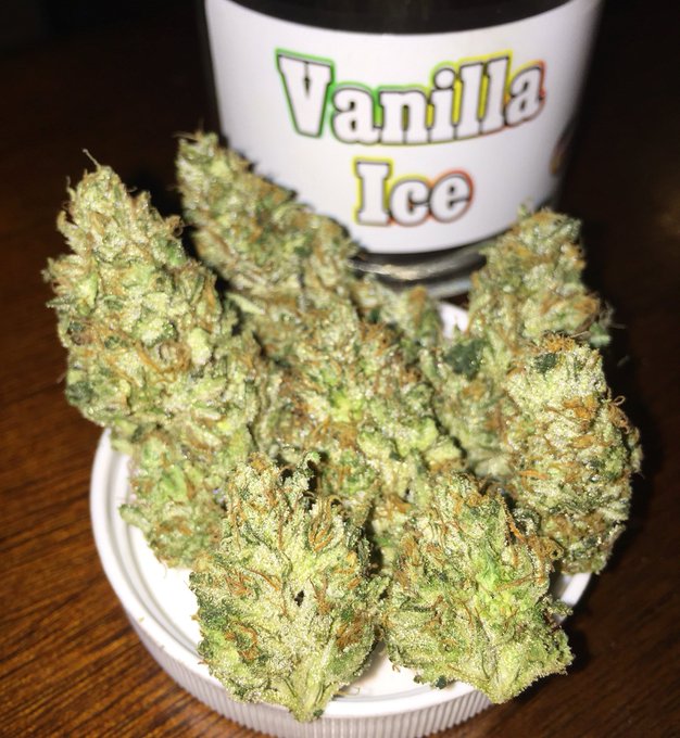 My hands are still sticky from touching this bud 😋 https://t.co/QspjmGQVgK<a href="/tag/choices"class="tags"><span>#choices</span></a>