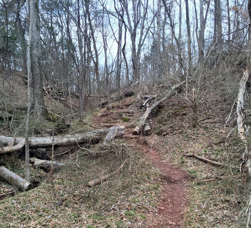 thenorthfaceECS's tweet image. What is your favorite trail to train on?
@Mr_Matt_Lewis heads to Bull Run to prepare for #ECSDC
#trailrunning #runDC