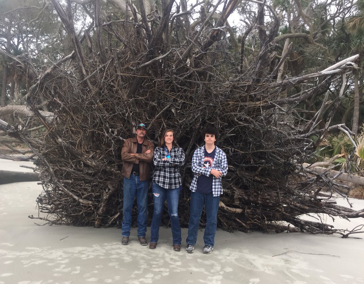 MorganWagner7's tweet photo. A few good ones from Hunting island national park! #SouthCarolina https://t.co/wJdAAA7RAy