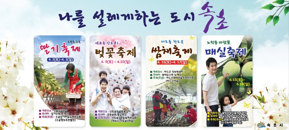 속초 봄 축제
- 딸기축제 / 벚꽃축제 / 쌈채축제 / 매실축제