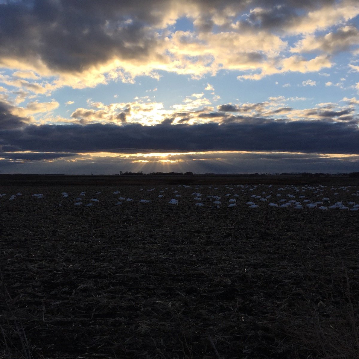 snowdevil8's tweet photo. Great sight to see when your in the spread #NorthDakota #snows16
Love hate relationship https://t.co/PV50zquXyC