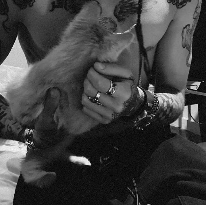 hsxzjm's tweet photo. Rest in peace Chub:c ๐
@GiGiHadid @zaynmalik
#WeLoveYouChub #RIPChub https://t.co/e7m1XVyEX3