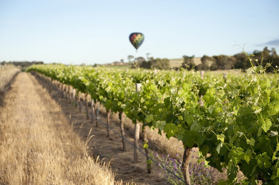 Flights to Adelaide begin in LESS THAN A WEEK! Oh Barossa… here we come! 

#ttot #travel
