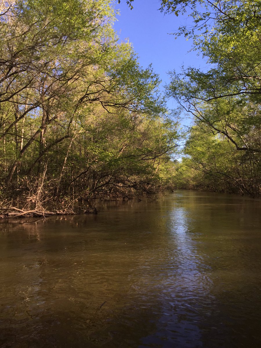 KristiMcfatterk's tweet image. Old River is still a lil flooded  #oldriver #merryville #riverbottom #flood #sundayfunday #boatride