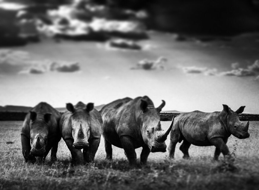 laurentbaheux tweet picture