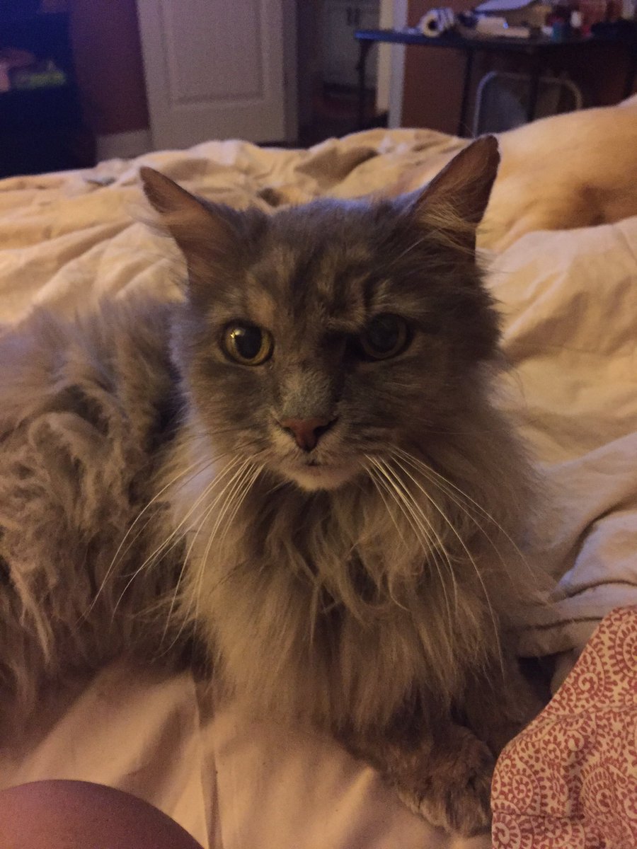 Happy 16th birthday to Casey and continue to RIP, dad! You would have been 86 today!