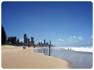 tabi_guide's tweet image. 旅ルポ掲載しました！
「オーストラリア　ゴールドコーストより旅ルポ掲載始めます♪」
newsbba.com/tabiguide/inde…
#オーストラリア #ゴールドコースト　#旅ブログ
#Australia  #GoldCoast