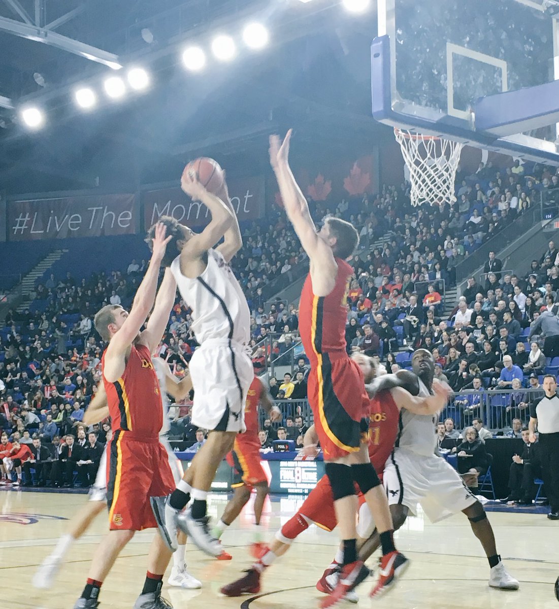 jacquiejane's tweet image. He made the shot. @curavens up 52-38 over @UCDinos. #CISFinal8