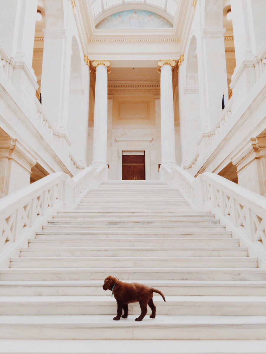 BronCrab's tweet photo. took this the day we got talitha https://t.co/zX1hhgxKm4