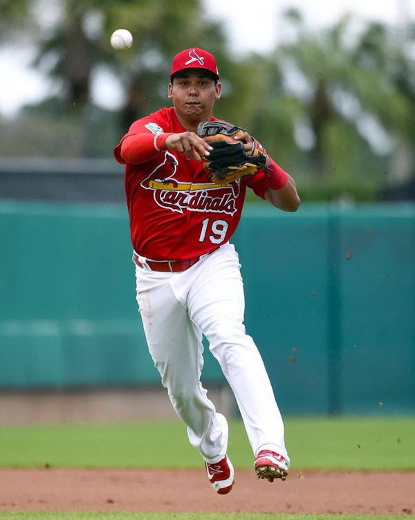 COSPanama's tweet photo. El 'Rookie' Tejada comienza su nuevo reto con los Cardinals. https://t.co/7HKbAZx4Ll #MLBxCOS https://t.co/Sdol9Tidwl