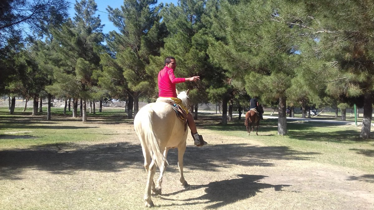 FermatCastillo1 tweet picture