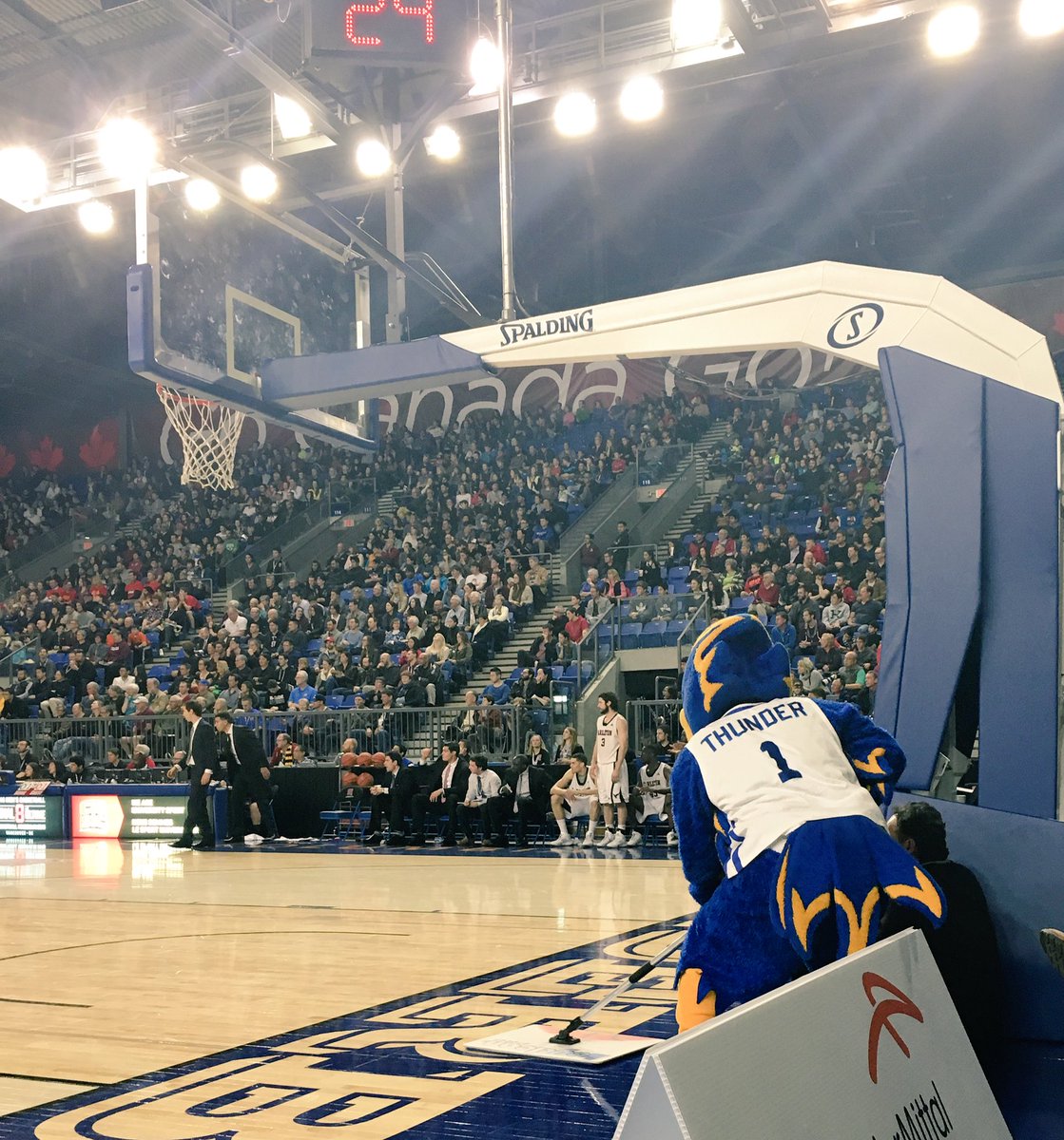 ubctbirds's tweet image. Thanks Thunder! What a great helper he is. #CISFinal8 #UBC