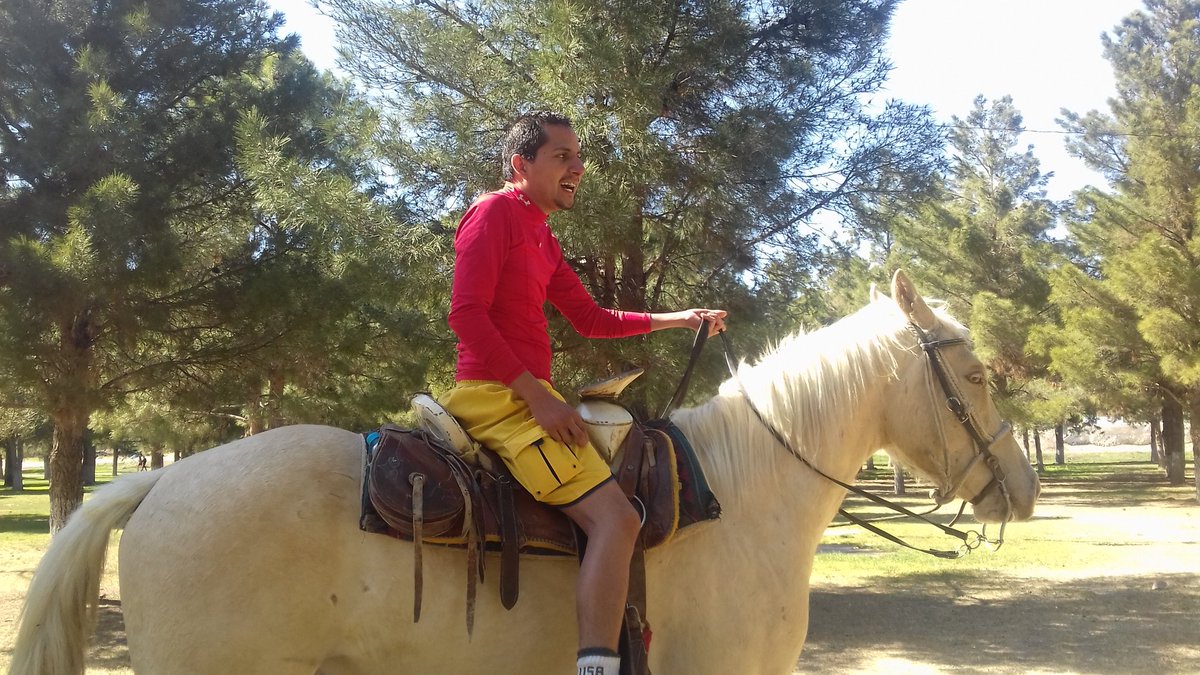 FermatCastillo1 tweet picture