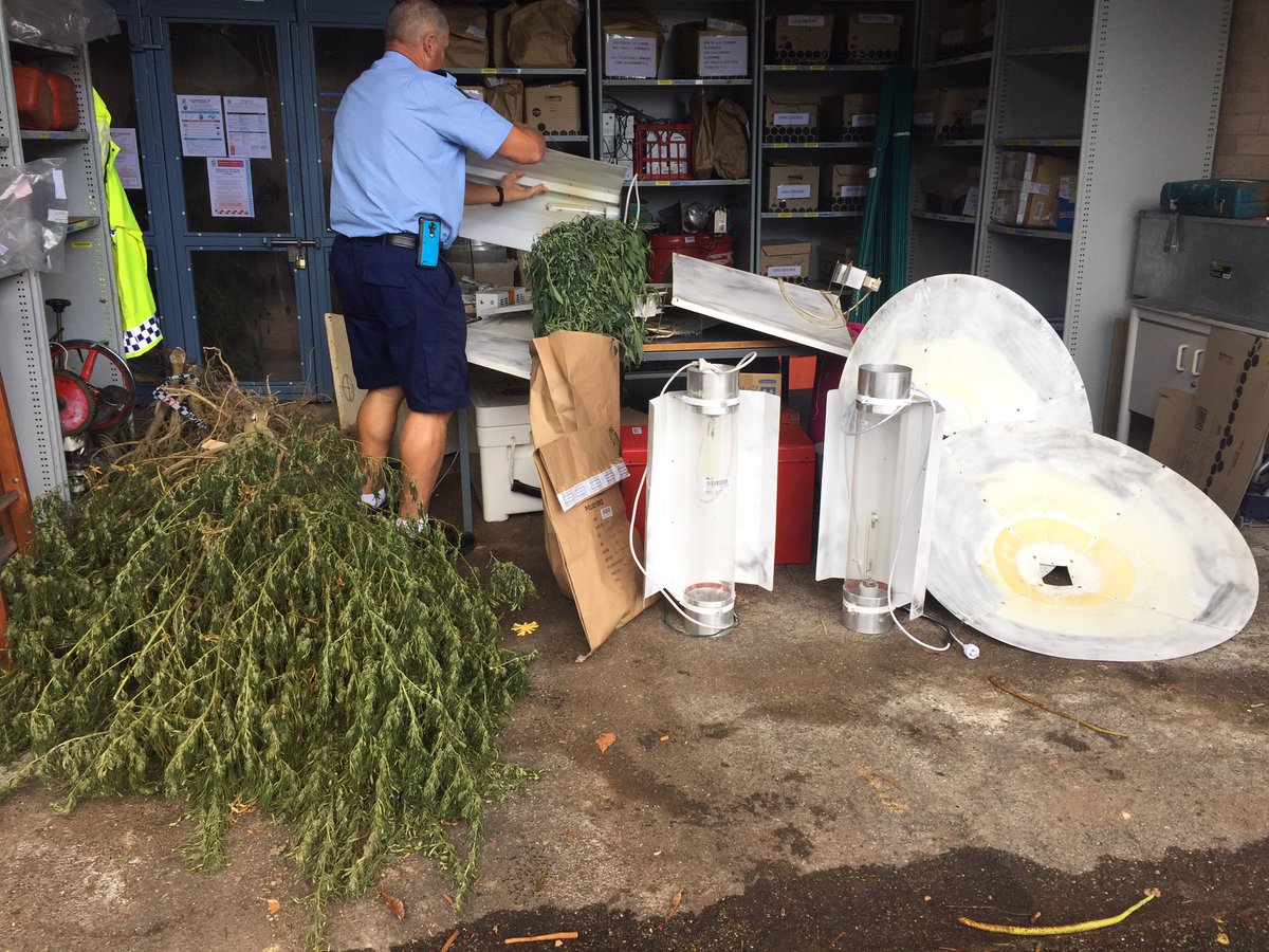 Louise Rennie tweet media