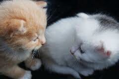 💦💓💦
💓💦
💦#Monday_Love 💓
💓#KittyLove 💦
💦💓<a href="/mist_writer_x/">mist_writer__</a> 💦💓
💓Hugs_Love_Kisses 💓