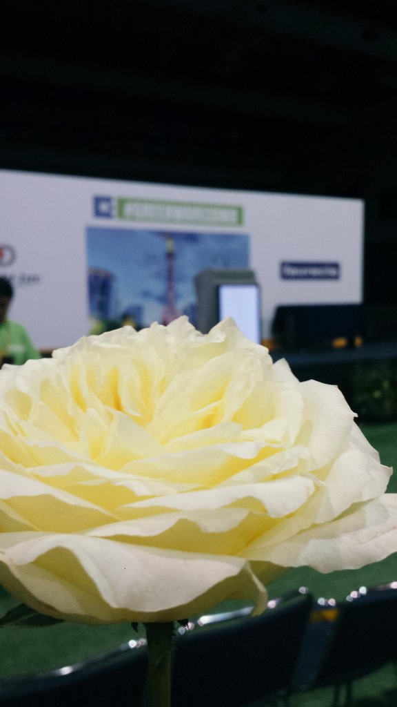 GreenWaveCDMX's tweet photo. #Gracias @iienet @FaureciaMX @HaasMX y a todos que de manera directa e indirecta estuvieron en #GreenWaveCDMX 💕 https://t.co/0PFdAnTEYo