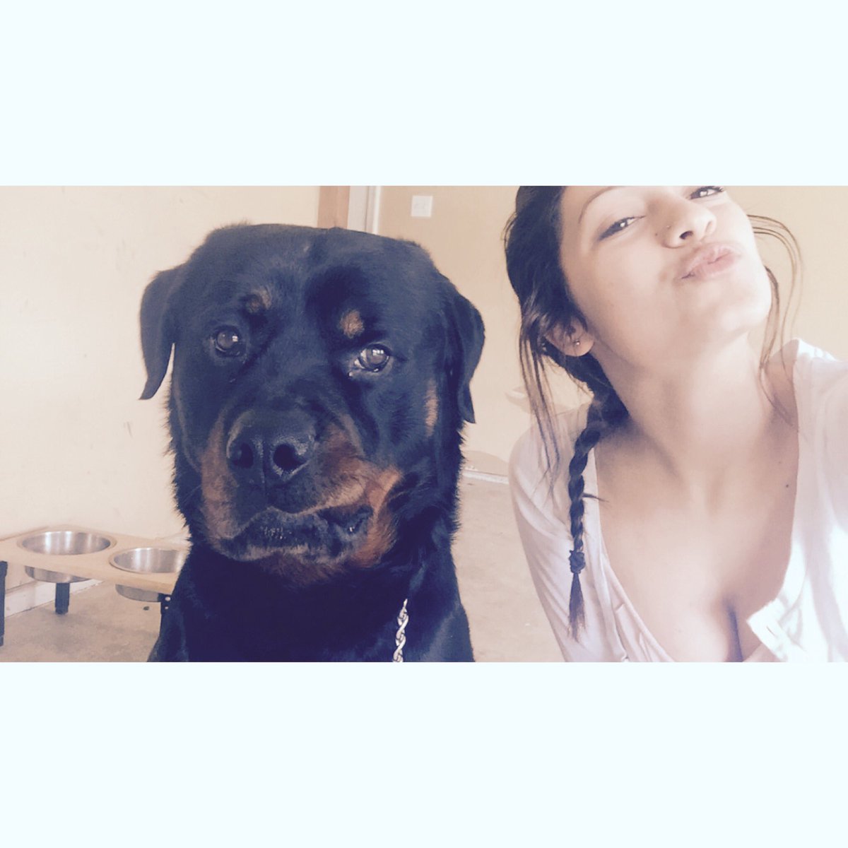 EmilyMirassol's tweet photo. International day of happiness 🐶🐱 #hideyoanimals https://t.co/8nt8VRmLDF