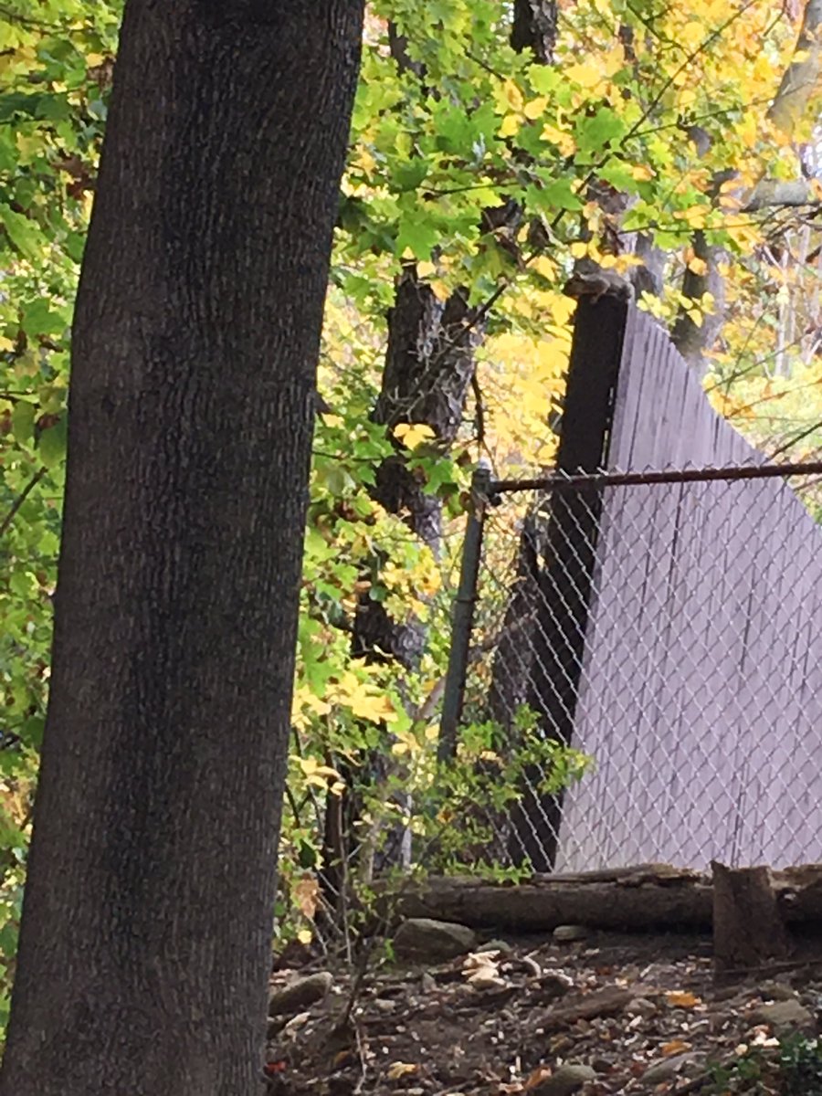 clarktel_t's tweet photo. Spring is approaching! Are you able to monitor what's in your back yard? https://t.co/F3G8fFzpoN https://t.co/PsTQQ5QoJs