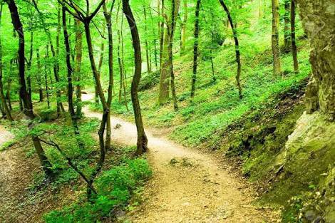 PedroFerriz's tweet image. Ya para dormir
¿"Que quieres hacer de grande"?
..."Solo lo correcto"
Por un sendero de eterna búsqueda del bien