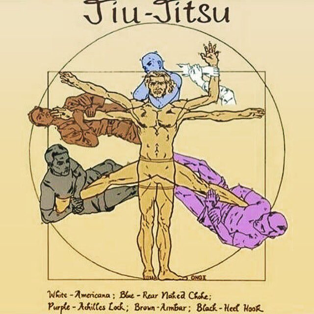 From white belt to black, different attacks 😊 #jiujitsu #bjj