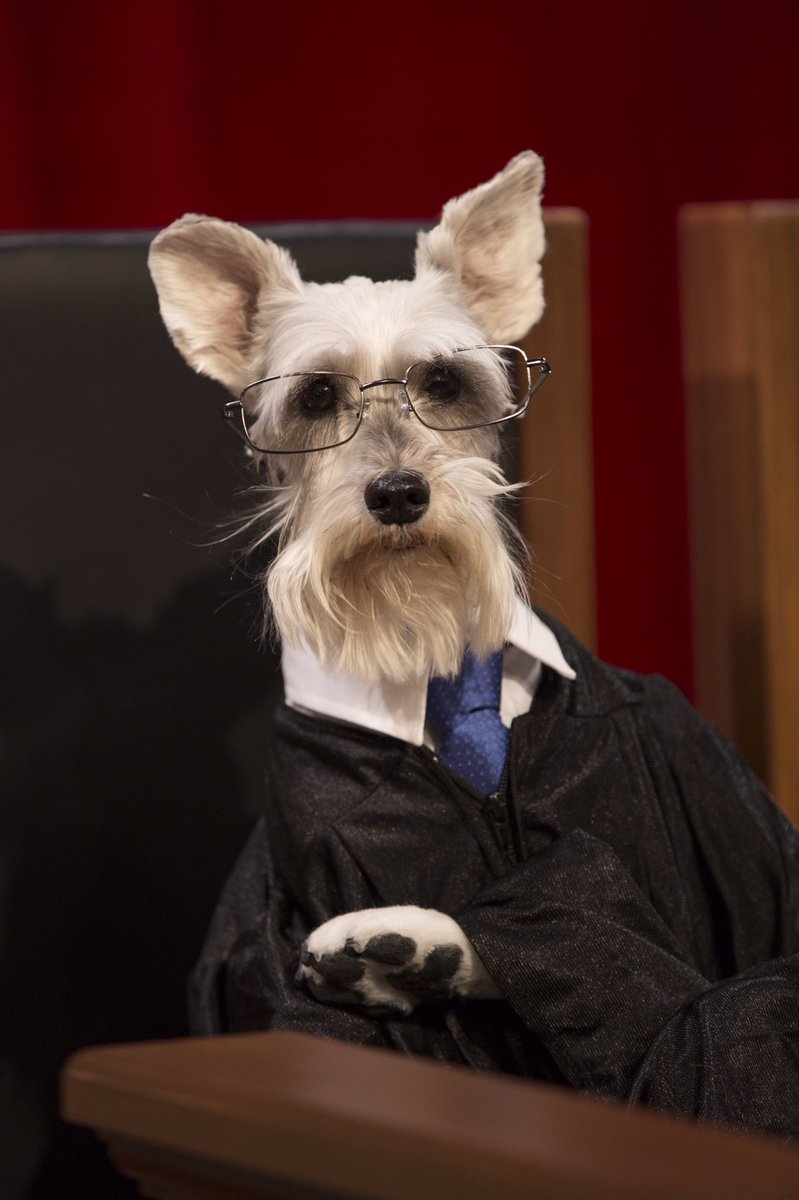 Last Week Tonight on Twitter "Which dog would make the best Merrick