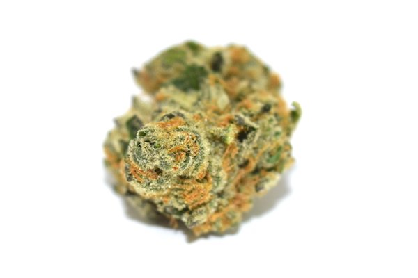 ABG_Marketplace's tweet photo. RT "Girl Scout Cookies #Cannabis Strain Review - https://t.co/0Tbvj1rQUc #Denver #Colorado #weed #DenverRelief https://t.co/EiiYLqyxBU" A…