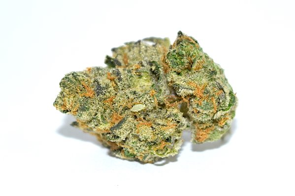 ABG_Marketplace's tweet photo. RT "Girl Scout Cookies #Cannabis Strain Review - https://t.co/0Tbvj1rQUc #Denver #Colorado #weed #DenverRelief https://t.co/EiiYLqyxBU" A…