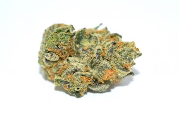 ABG_Marketplace's tweet photo. RT "Girl Scout Cookies #Cannabis Strain Review - https://t.co/0Tbvj1rQUc #Denver #Colorado #weed #DenverRelief https://t.co/EiiYLqyxBU" A…