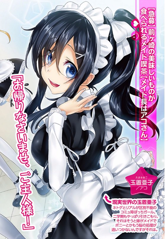 ネトゲの嫁は女の子じゃないと思った？ 玉置亜子 アコ 等身大