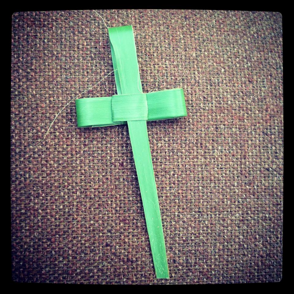 ¡Feliz día de las palmeras! Happy #PalmSunday! Bendiciones a todos #Hosanna #Palmeras #DomingodeRamos