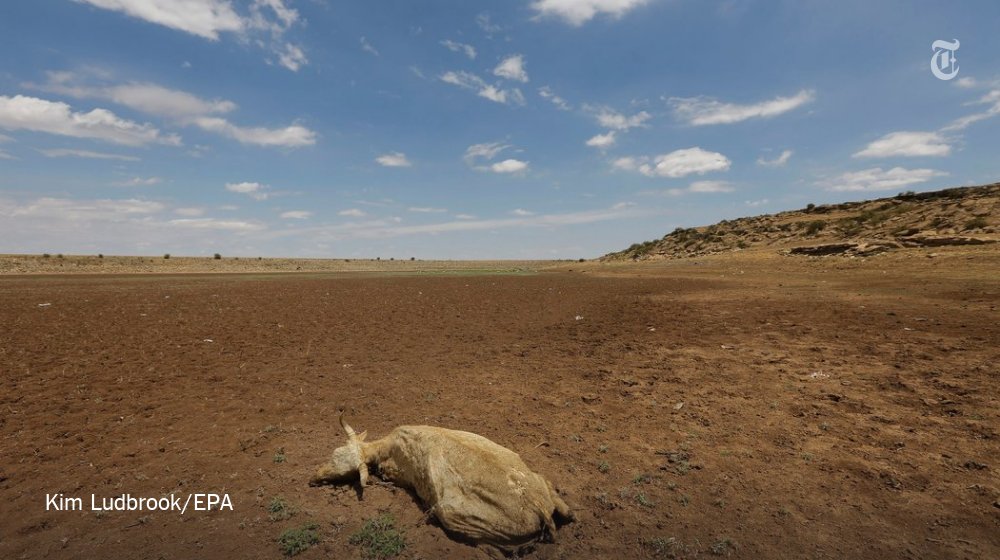 NYTScience's tweet photo. Too much rain in some places. In others, not enough. Here are stories of life during El Niño https://t.co/sOryCmLy7F https://t.co/vwsxQI0rBR