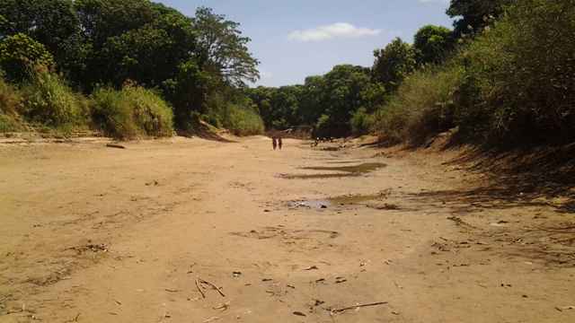 ced_org's tweet image. This is the Shabelle River in Jowhar district, and the people are still expecting to fetch water from the river.!!!