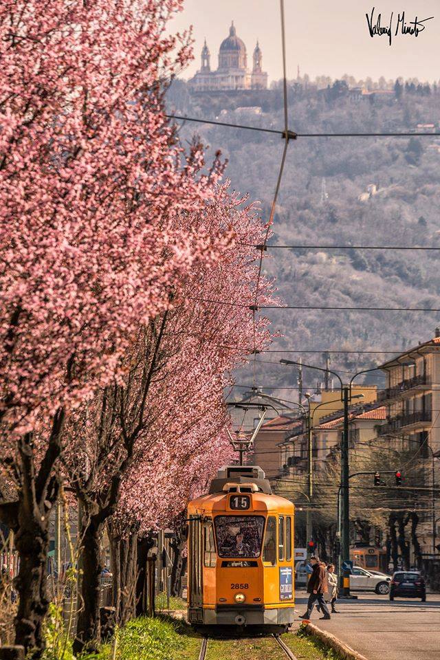 menu_a_porter's tweet photo. #21marzo #primavera @ValerioMinato @twitorino #Torino https://t.co/is3BVvPthu
