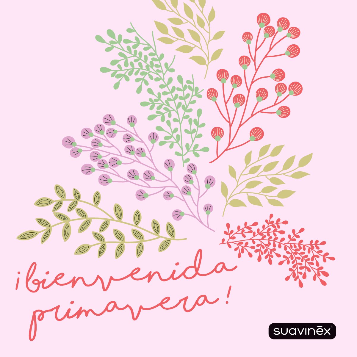 consubebe_es's tweet photo. RT @madresfelices: Por fin ha llegado, ¡Bienvenida Primavera! :) https://t.co/XUQlTbCAXh