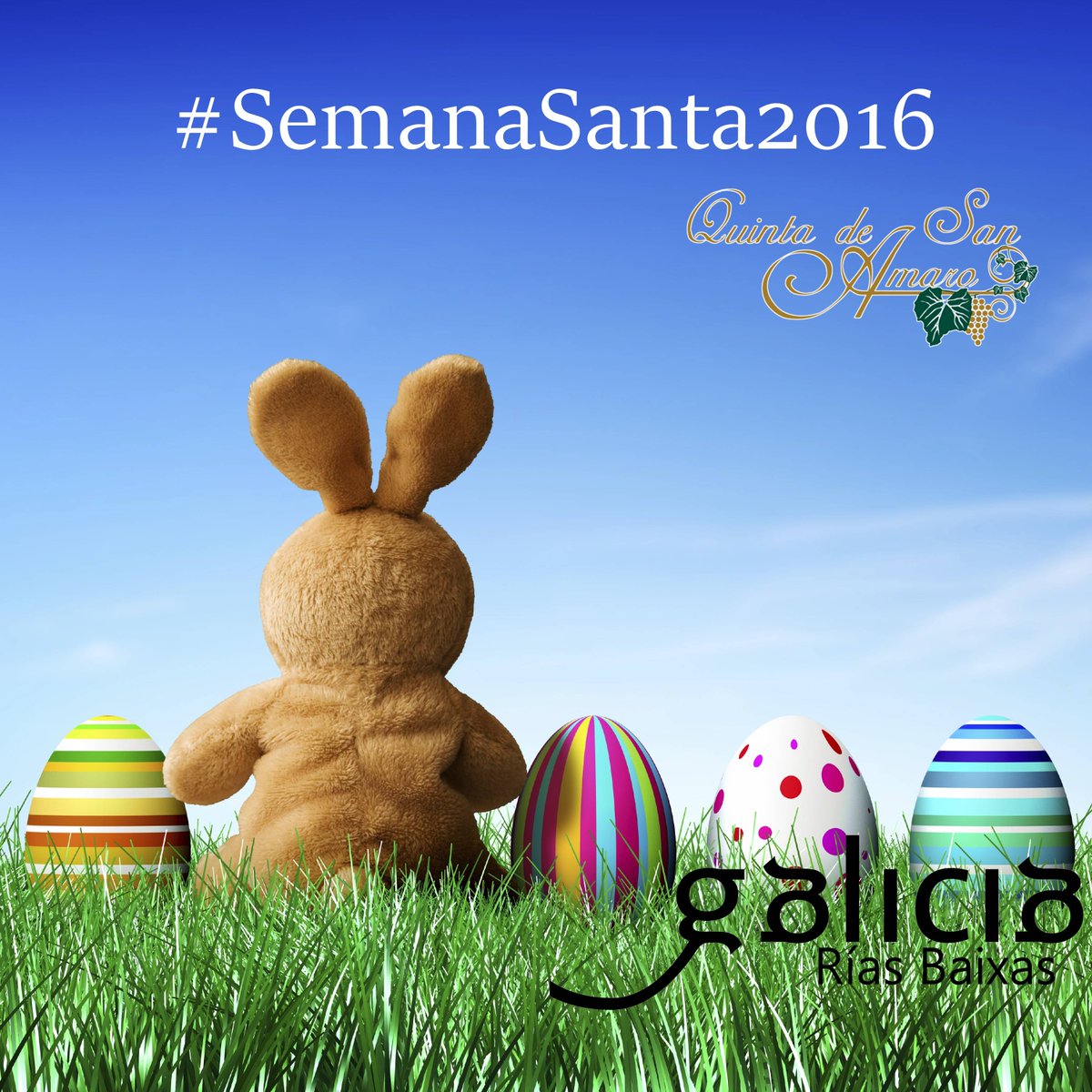 Todo preparado para disfrutar una #SemanaSanta entre viñedos en #RiasBaixas by @quintasanamaro @visitarousa