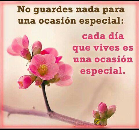 tyfanidami's tweet photo. Excelente inicio de semana para todos https://t.co/LLlyiF12FH