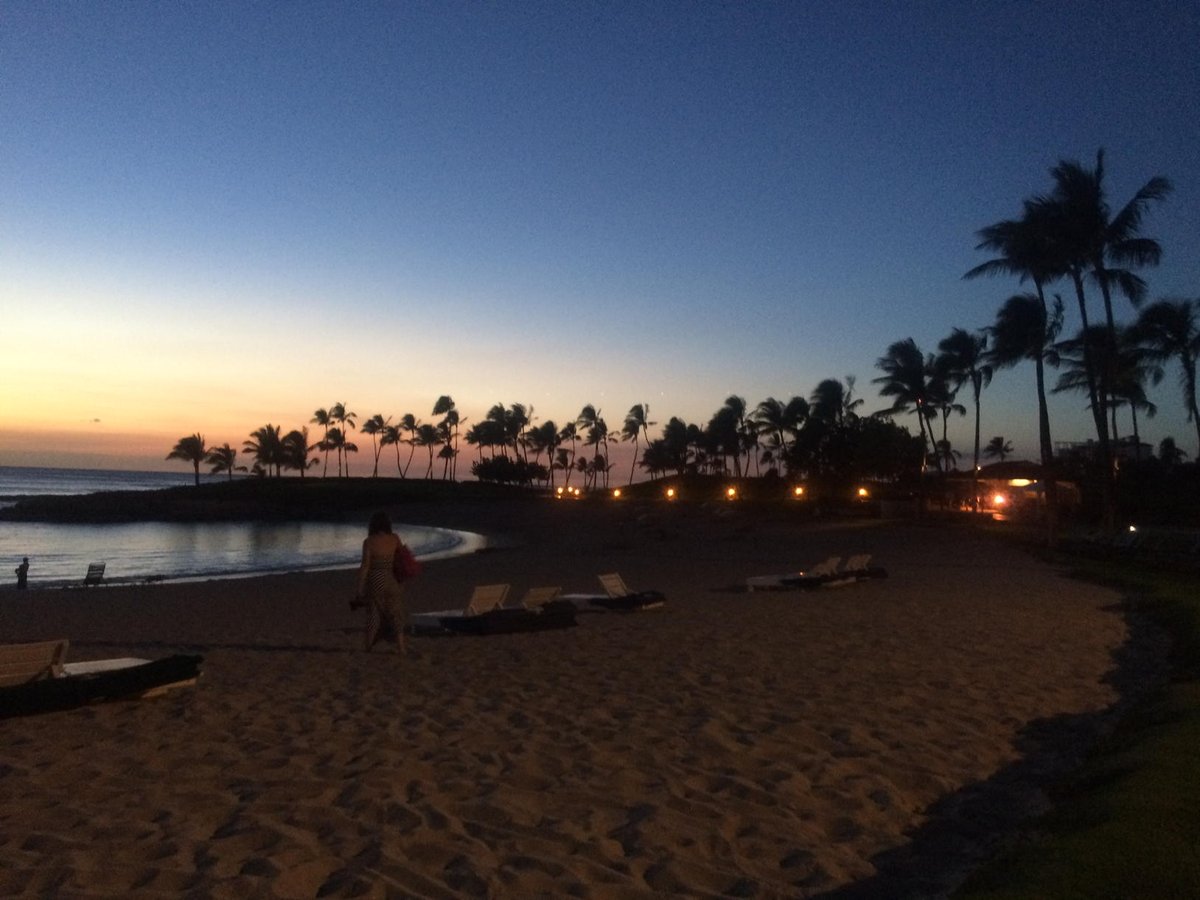 Hawaiian nights