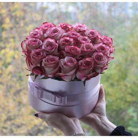 #صباحات_فيروز  #صباح_العربية صباح الورد الجوري