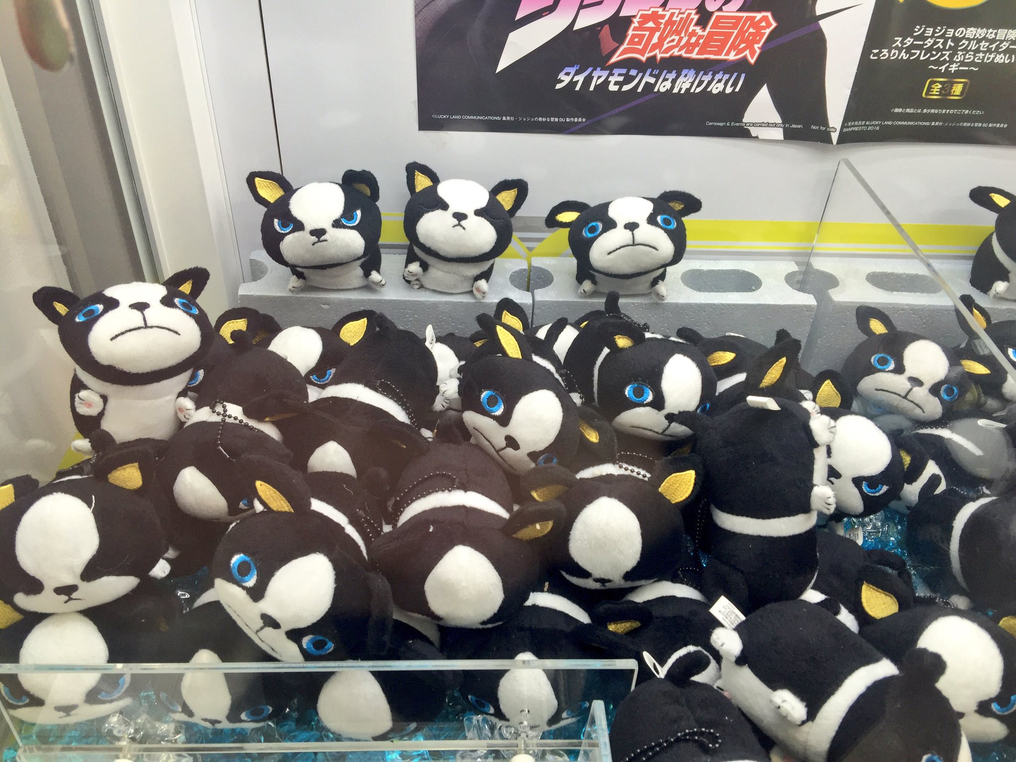 ট ইট র タワーレコード渋谷店 ジョジョの奇妙な冒険 ころりんフレンズ イギー Ufoキャッチャー登場ッ 2 4fとエスカレーターホールにて設置中 寝てるイギーかわいすぎッ T Co Tsnjmdfwy4 ジョジョ T Co Wb6ckjxk0l