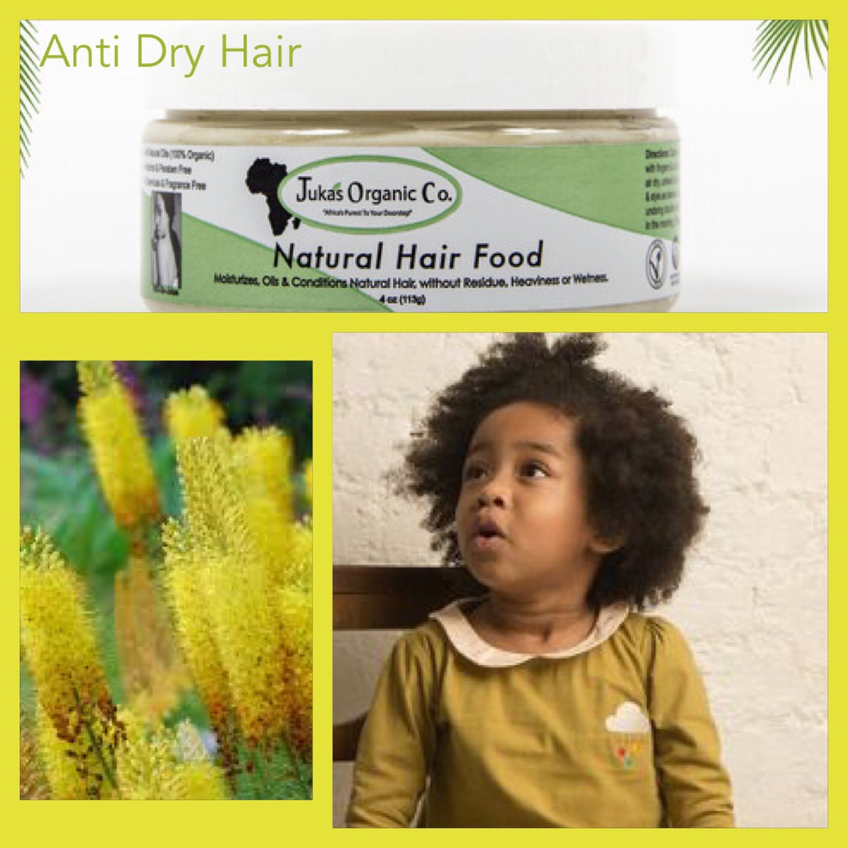 Jukasorganic's tweet photo. Cries when hair is being done? Our product prevents #dryhair & #detangles well, prevents #damagehair! #curlyhair 🌾🍂🍂 https://t.co/9Va2H9zCUi